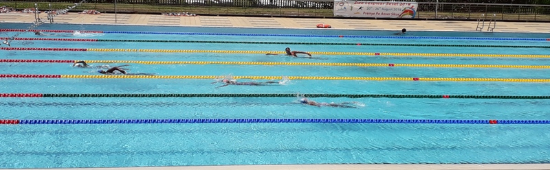 Some of the swimmers in action